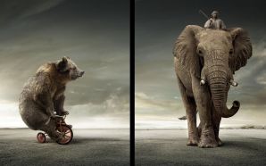 Ursus Arctos and Elephant 3D digital art