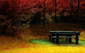 Free Tranquility of Autumn wallpaper