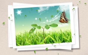Amazing Colors of Spring 21 - Creative Digital Composite : Spring Colors Wallpaper 19 *1 0