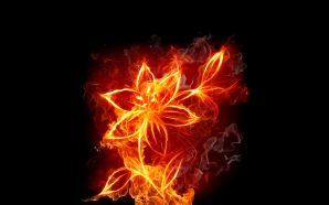 fiery flower 02