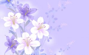 Pink & Purple Lilies
