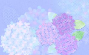 Dreamy Hydrangea Flowers