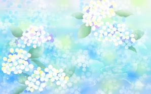 Blue Hydrangea Flowers Desktop