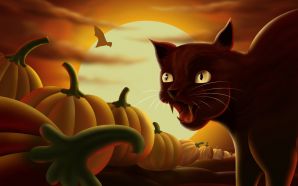 Black Cat & Halloween Pumpkins