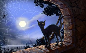 38 Halloween Black Cat - Halloween illustration