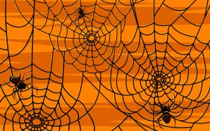 44 Halloween Spidera Picture - Halloween illustration