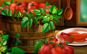 PSD Food illustrations 3110 tomatos pictures tomato illustration