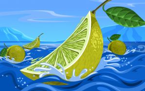 PSD Food illustrations 31 lime fruit illustration