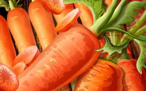 PSD Food illustrations 3122 fresh carrot illustration carrots picture