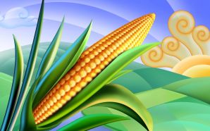 PSD Food illustrations 3193 corn clipart corn picture