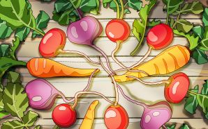 PSD Food illustrations 3192 fresh vegetables
