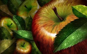 PSD Food illustrations 3114 apples illustration apple picture