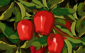 PSD Food illustrations 3128 red apples on tree