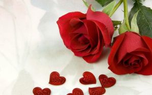 Free Sweet Valentine's Day Rose wallpaper