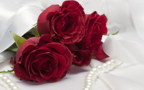 Free Red Rose and Jewellery wallpaper