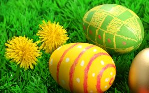 Free Cute Easter Day Eggs Picture wallpaper