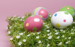 Free Cute Easter Eggs Picture HD wallpaper