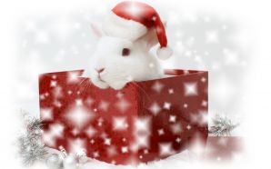 Merry xmas and Happy New Year - Christmas bunny