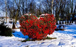 2012 Valentine's Day Love Heart