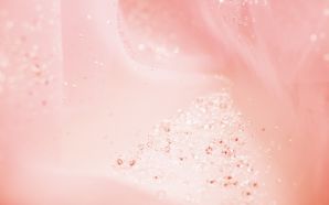 Sparkling and Romantic Backgrounds HK008 350A
