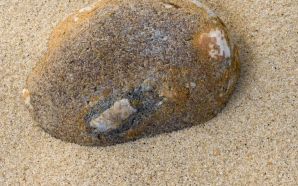 Stoney Pebble in Sand