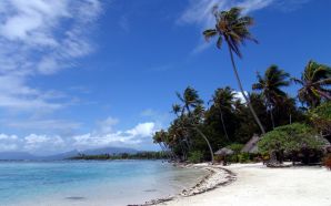 dreamy beach of french polynesia.