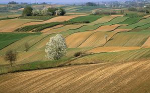 Plowed fields in Roztocze Region