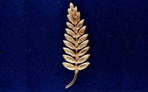 Gold Olive Branch Left on the Moon by Neil Armstrong