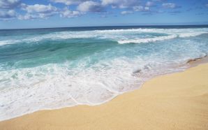 Beach and Sea of Hawaii