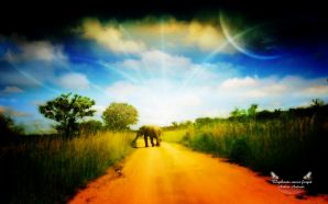 landscape photo manipulation Elephants never forget