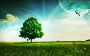 landscape photo manipulation The tree of fortune