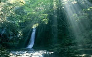 Sunlight Streaming Through trees 2CAkame Shijyuhachi Waterfall 2C Japan
