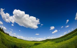 fish-eyed view of blue sky and grass