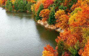 Free Amazing Colorful Autumn Scenery wallpaper
