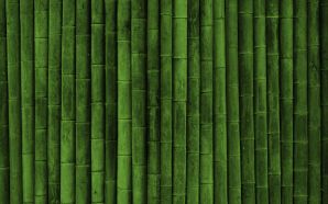Green widescreen wallpapers
