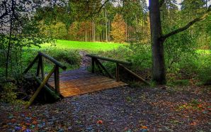 Autumn Free Wallpaper - Bridge To The Forest