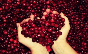 Autumn Free Wallpaper - autumn's cranberry heart
