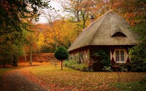 Autumn Free Wallpaper - Cosy home