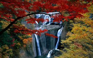 Autumn Free Wallpaper - waterfall