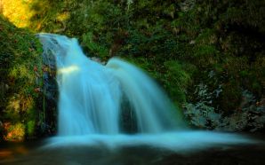 Waterfalls Free Wallpaper - FOREST FALLS