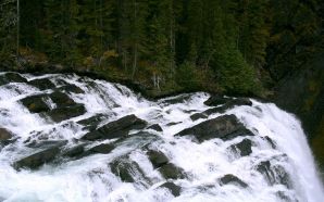 Waterfalls Free Wallpaper - before the falls