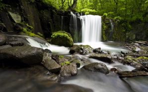Waterfalls Free Wallpaper - Forest Waterfall