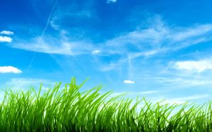 Dream Summer 2012 - the freshness of grass
