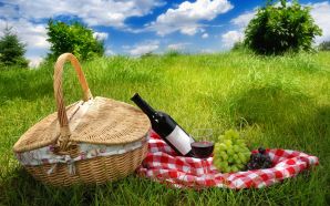 Dream Summer 2012 - picnic