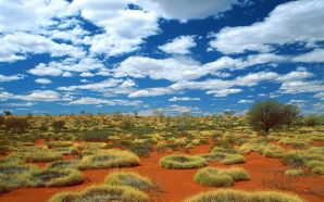 Dream Summer 2012 - great sandy desert