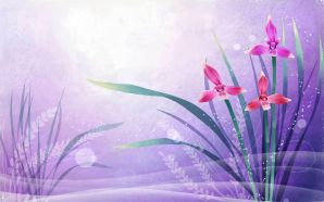 Dream Spring 2012 - fushia 1920x1200. jpg