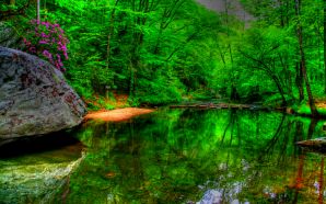 Dream Spring 2012 - green lake