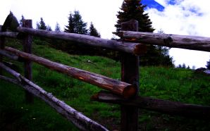 Beautiful Summer 2012 - wooden fence