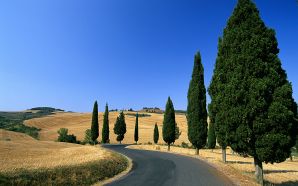 Strada di campagna nei pressi di Monticchiello, Siena