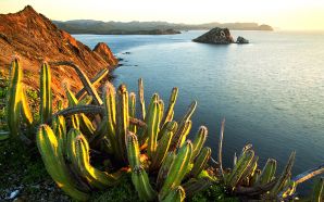 Senita Gacti creciendo en la Isla Datil